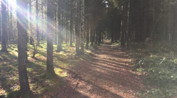 La Traversée du Morvan en Hiver 2018