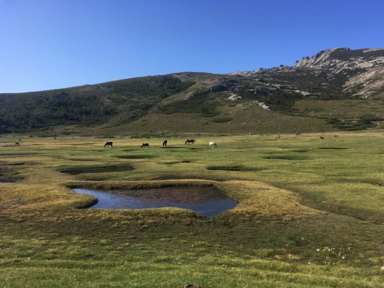 Les plus Beaux GR de France : à parcourir sans modération