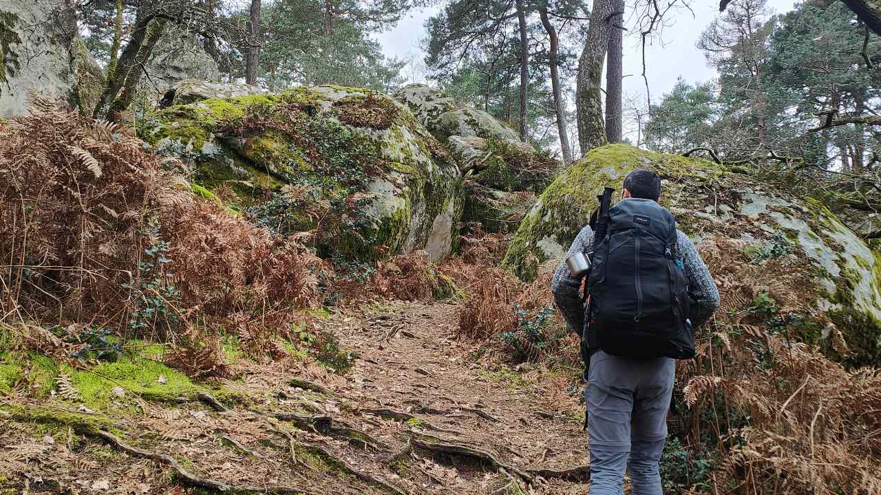 Tour du Massif de Fontainebleau : Préparer sa randonnée