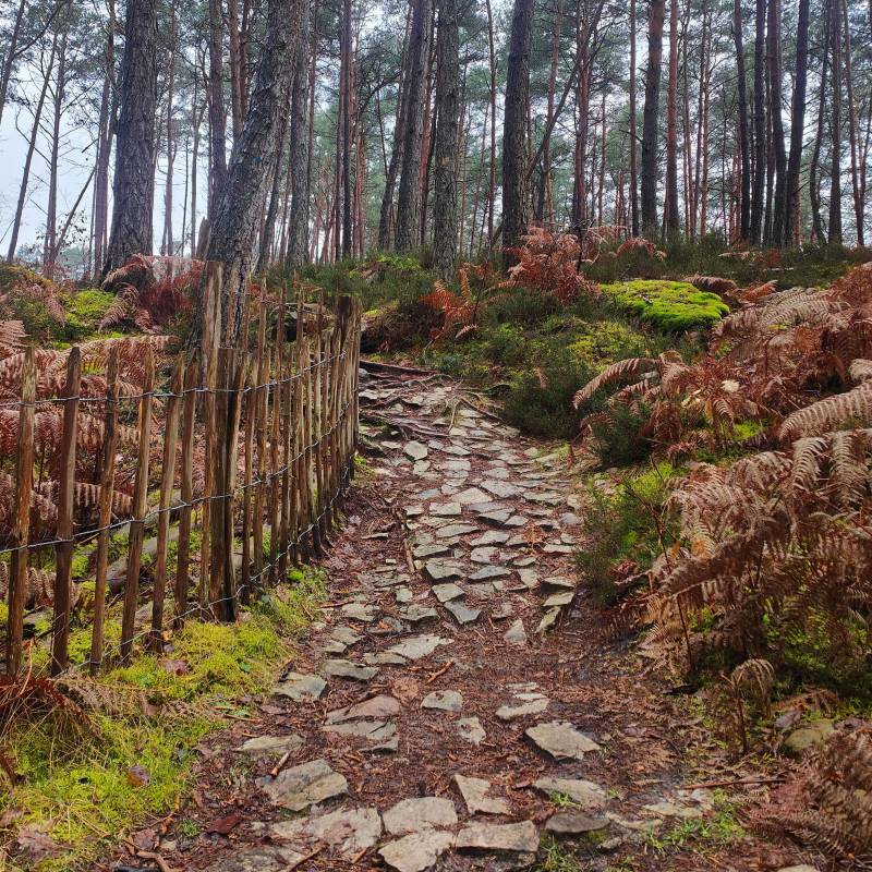 sentier Denecourt pavé