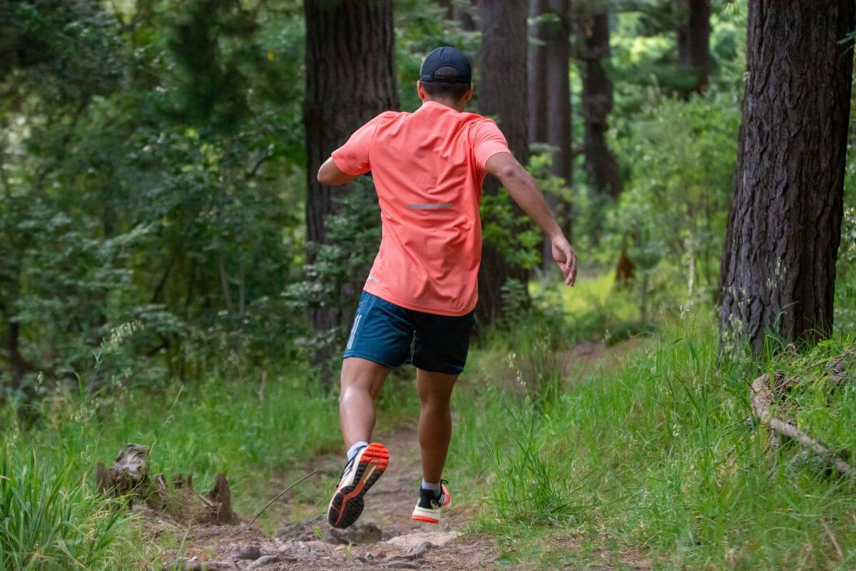 Chaussure de trail pour la randonnée : bonne idée ou faux pas ?